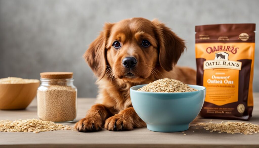 Oatmeal for Dogs